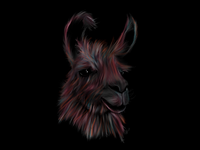 Llama handdrawn ipad pro llama procreate