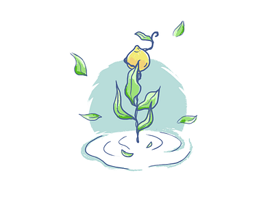 Lemon Tree in water