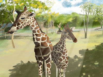 Osaka Zoo art artph giraffe japan november osaka tropical zoo