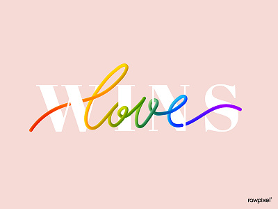 Love Wins design equality handwritten lgbt lgbtq love pink pride rainbow typography vector wins
