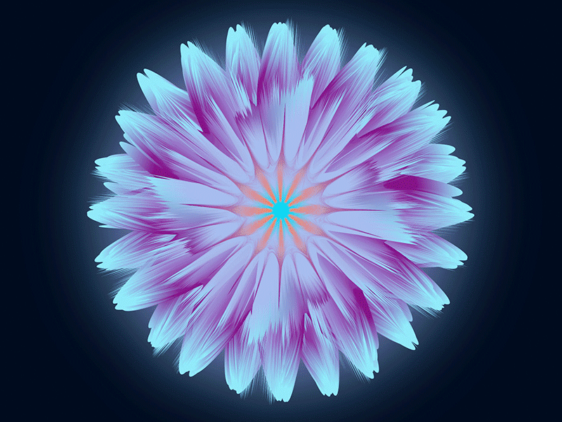 Blending Flower Illustration.gif adobe illustrator adobe photoshop colorful flower illustration