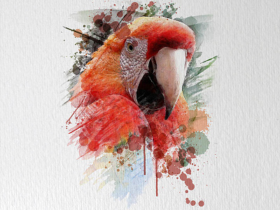 Water Color Effect 02 adobe photoshop bird colorful design watercolor effect