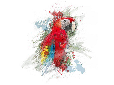 Water Color Effect 05 adobe photoshop bird colorful design watercolor effect