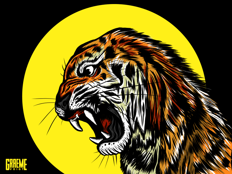 Tiger Illustration - Paths! animation car design graphic illustration motorcycle retro tiger vinyl wrap