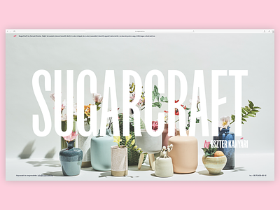 Sugarcraft splash screen – actual website
