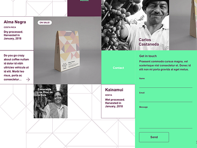 Holistik Coffee website contact form detail – UX/UI coffee contact form css grid design detail holistik typography ui ux web webflow website