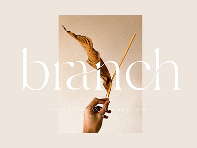 Branch | Modern Ligature Serif