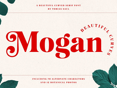 Mogan Font Extras amazing font beautiful font brandiing design elegant font fancy font romantic font script font vector wedding font