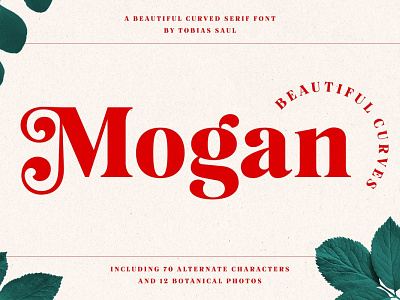 Mogan Font  Extras