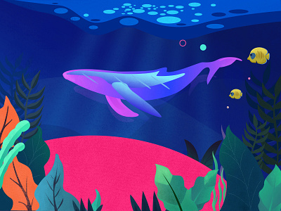 Big fish sea bream ui 插图 设计