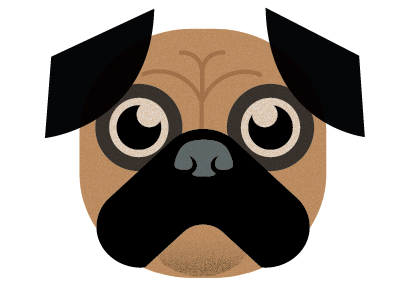 Muggle the Bugg boston terrier dog pug