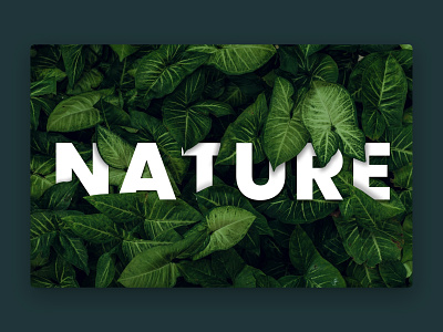 Nature Banner