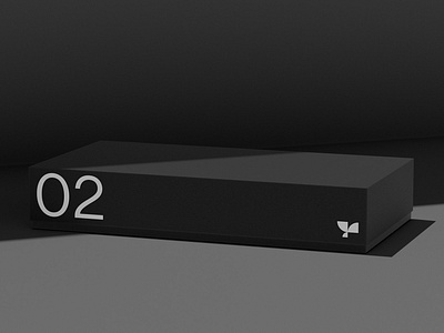 Box 02 Standard Mockup