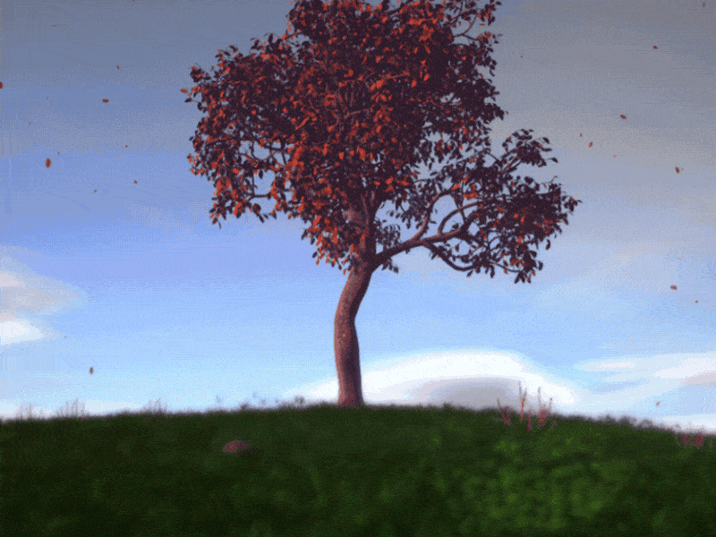 Acer Tree 3d animation c4d compositing forester grass red tree vegetation