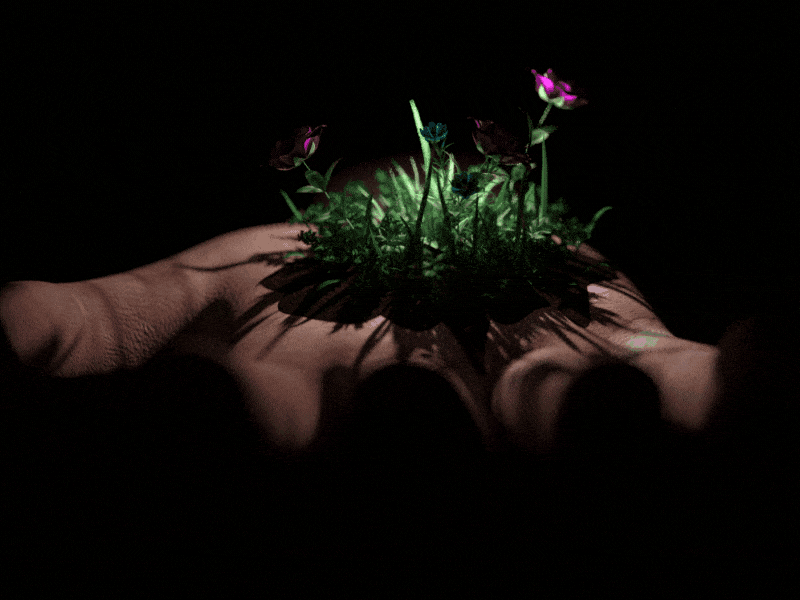 Secret Garden 3d animation c4d dark flowers forester grass hand light night