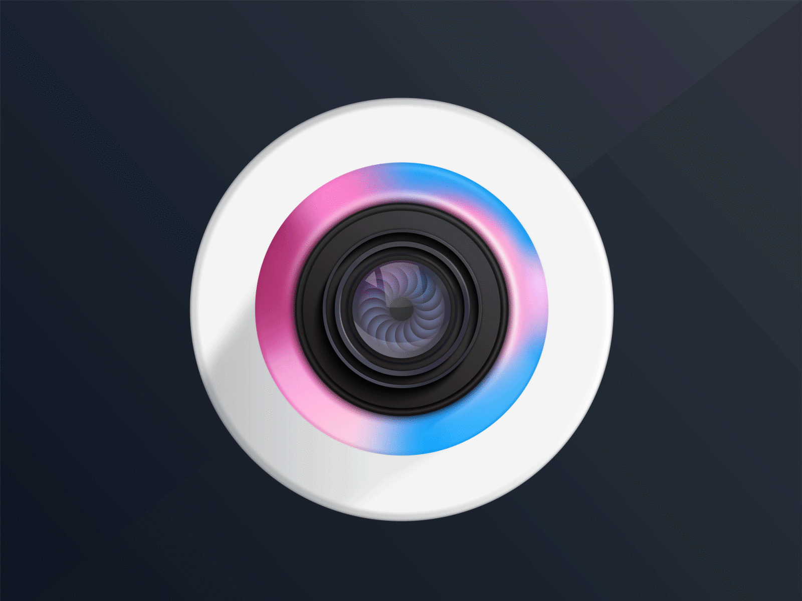 Camera Illustrator camera camera icon color colorful design fun illustration illustrator practice vector