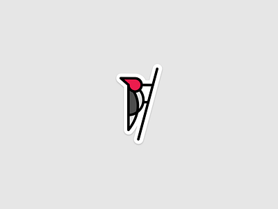 Woodpecker animal bird design icon illustration