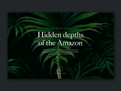 Hidden Depths of the Amazon