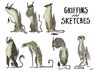 Griffins sketches character concept design drawing griffin griffins illustration mythology sketch sketches
