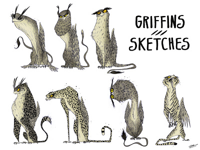 Griffins sketches