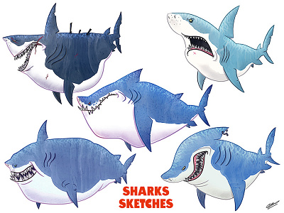 SHARKS SKETCHES animals character charcater concept design illustration sharks sketch