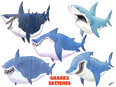 SHARKS SKETCHES