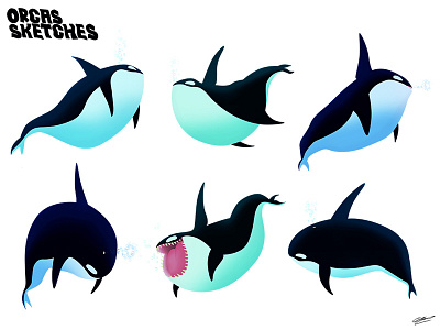 Orcas SKETCHES animals character design drawing illustration mamals ocean orcas sea sketches