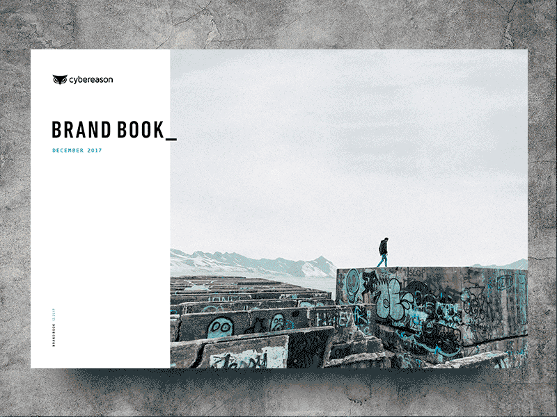 Brand Book 12. 2017 aerials book brand cursor cyber glitch gritty hacker logo owl texture typography