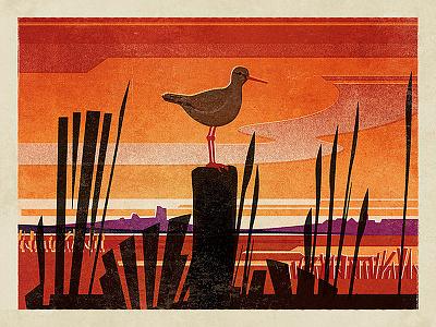 Redshank artwork beer bird brewery estuary fendell posters leigh on sea brewery nature neil fendell redshank thames two tree island
