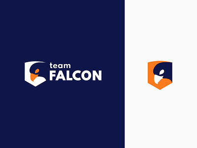 Team falcon logo adobe adobe illustrator branding color design icon illustrator cc logo
