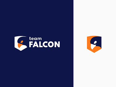 Team falcon logo