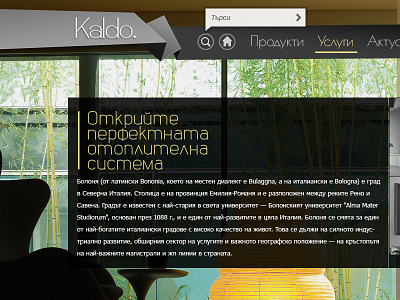 Kaldo Bg web site heating interior web design