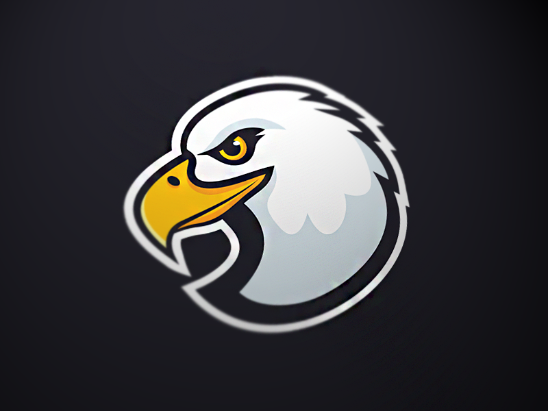 Eagle by Amer Masleša on Dribbble