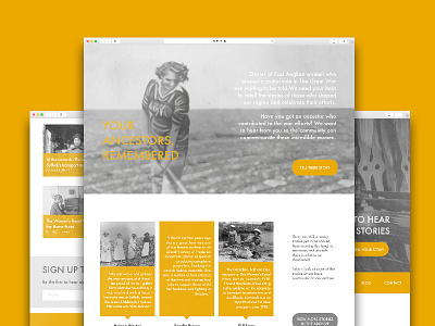 Marker Website Design graphic design historic illustration photography ui ux web design website