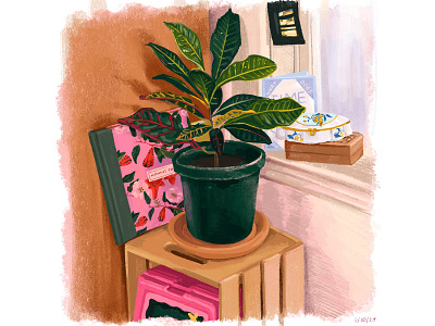 Room Still Life - Jan 2020 bedroom croton croton plant drawing flower palette pink plant plant illustration procreate room still life