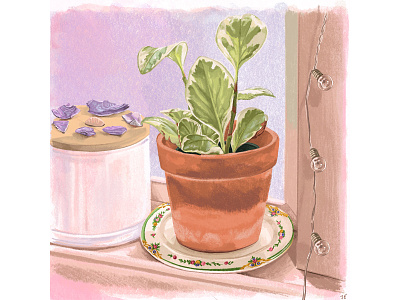 Bedside Window Sill Still Life drawing illustration plant procreate still life