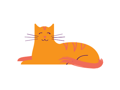 Orange Cat cat cat drawing cat illustration illustration kitty orange orange cat vector