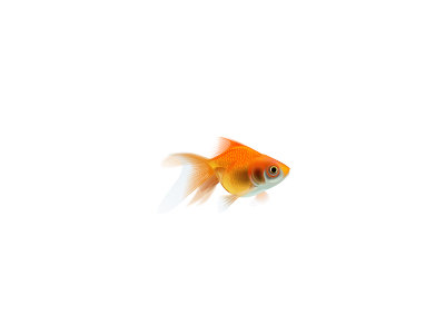 Goldfish fish icon