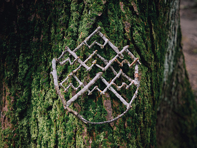 Mountain Stones Sticks