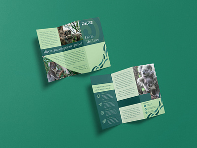 Port Stephens Koalas - Z Fold Brochure