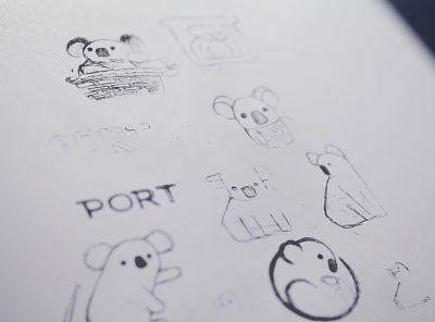 Port Stephens Koalas - Drafting Process 2 brand branding branding design denoffoxes design draft drafting stage graphic design graphicdesign graphicdesigner koala logo port stephens koalas sketches