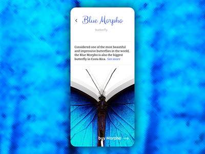 Buy a butterfly app blue blue morpho butterfly ui