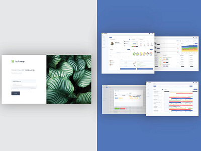 Taskwarp - Logo and UI/UX Design design eduard kaiku graphic graphic design icon illustration logo saas taskwarp ui uiux user experience user interface ux vector visual