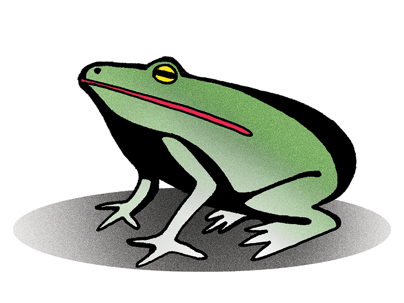 Frogget about it