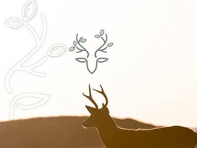 Deer logo + brand