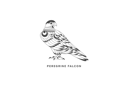 Peregrine Falcon design flat illustration vector