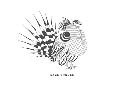Sage Grouse design details flat illustration pattern