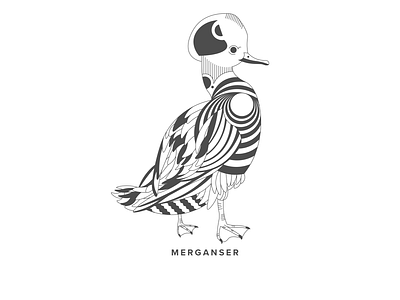 Merganser bird design details flat illustration pattern vector