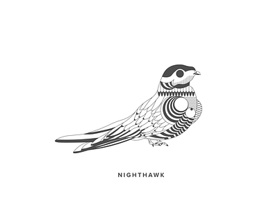 Nighthawk bird design details flat illustration pattern vector