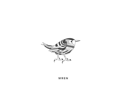 Wren bird design details flat illustration pattern vector